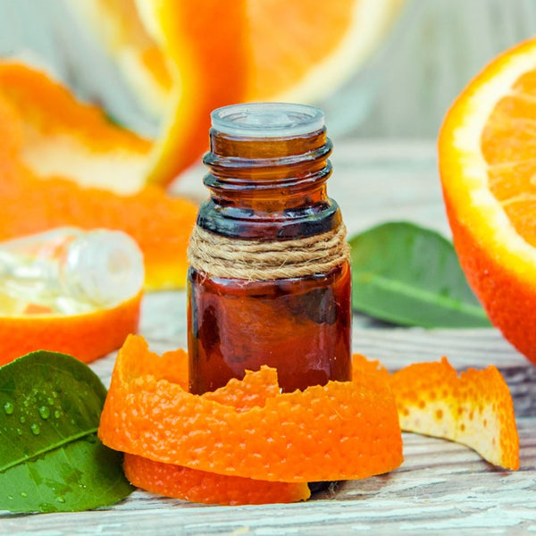 Sweet Orange Organic | Bextract™ | Citrus sinensis