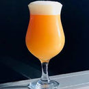 Ted | Troppo Hazy IPA | BeerCo All Grain Brewers Recipe Kit-1