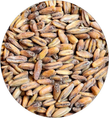 Crisp Toasted Malted Oats | Small Batch #4 | Limited Release