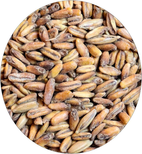 Crisp Toasted Malted Oats | Small Batch #4 | Limited Release