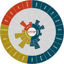 Crisp Toasted Malted Oats | Small Batch #4 | Limited Release-3