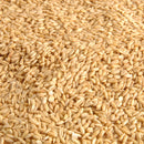 Essantis Kiln Dried Hulled Oats-1