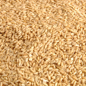 Essantis Kiln Dried Hulled Oats
