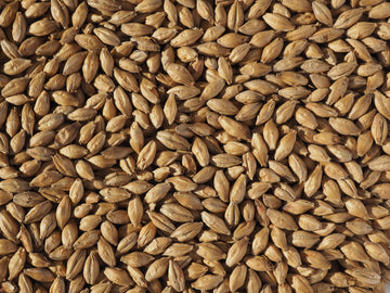 Crisp Vienna Malt