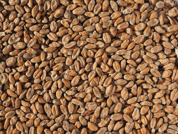 Crisp Wheat Malt