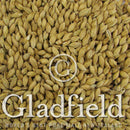Gladfield-Ale-Malt