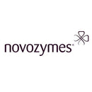 Novozymes | Saczyme® Go 2X-2