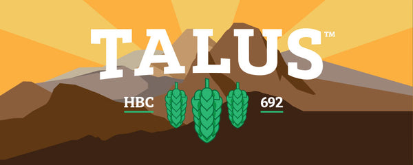 Talus™ HBC 692 US Hops