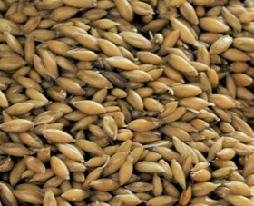 Gladfield Big O | Oat Malt